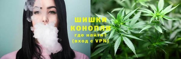 каннабис Богданович